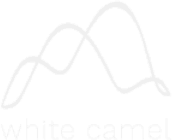 White Camel